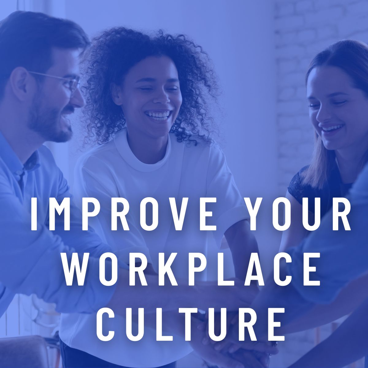 Improve your workplace culture with workplace culture improvement consulting services.